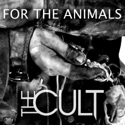 Review1611_the_cult_-_for_the_animals