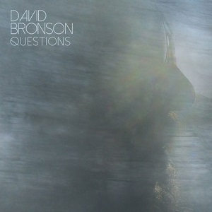 Review3822_David_Bronson_-_Questions
