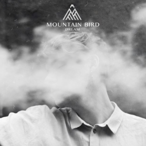 Review4167_Mountain_Bird-Dream