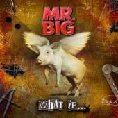 Review787_Mr_Big_What_If